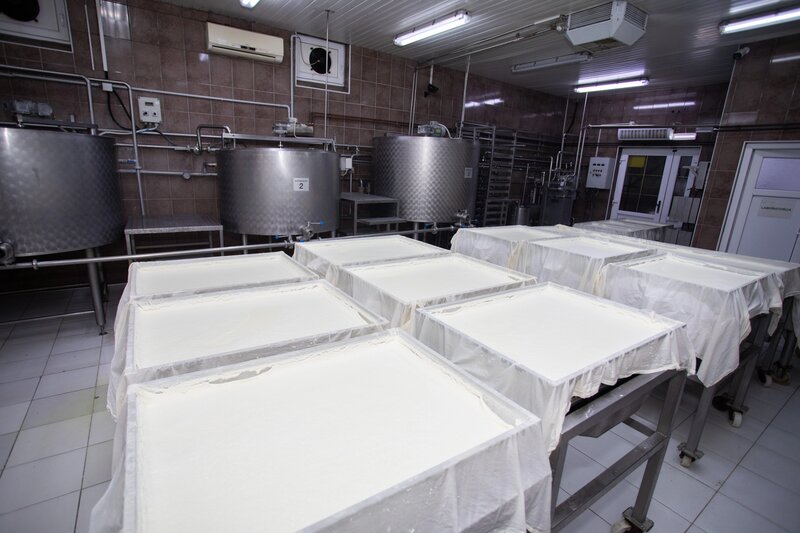 Mlekara Đi-Mi - domaći sir